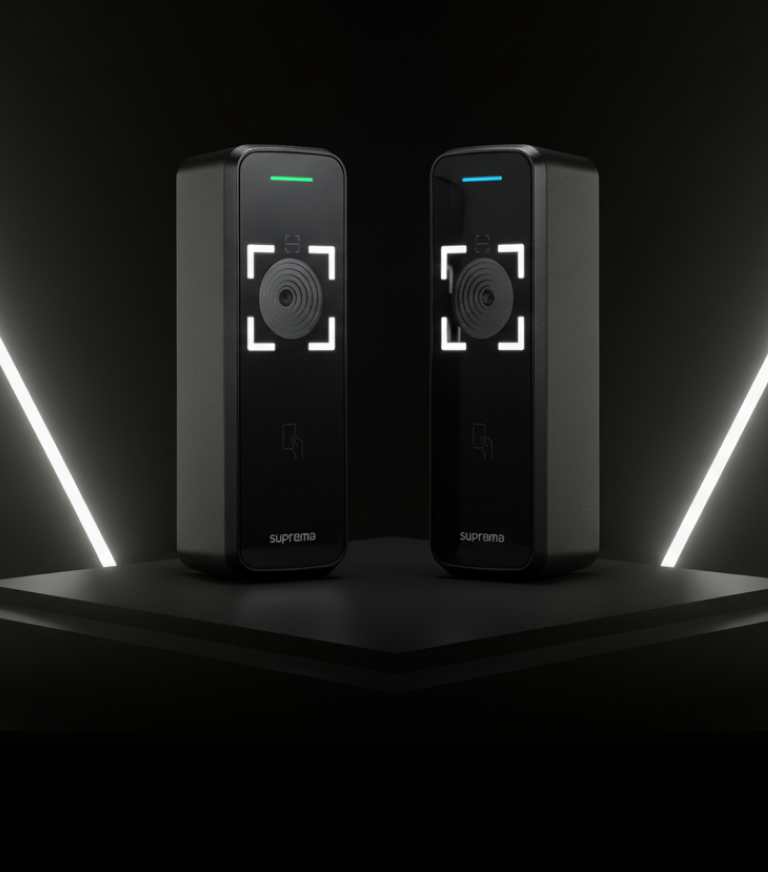 LED 백라이트 스캔 영역