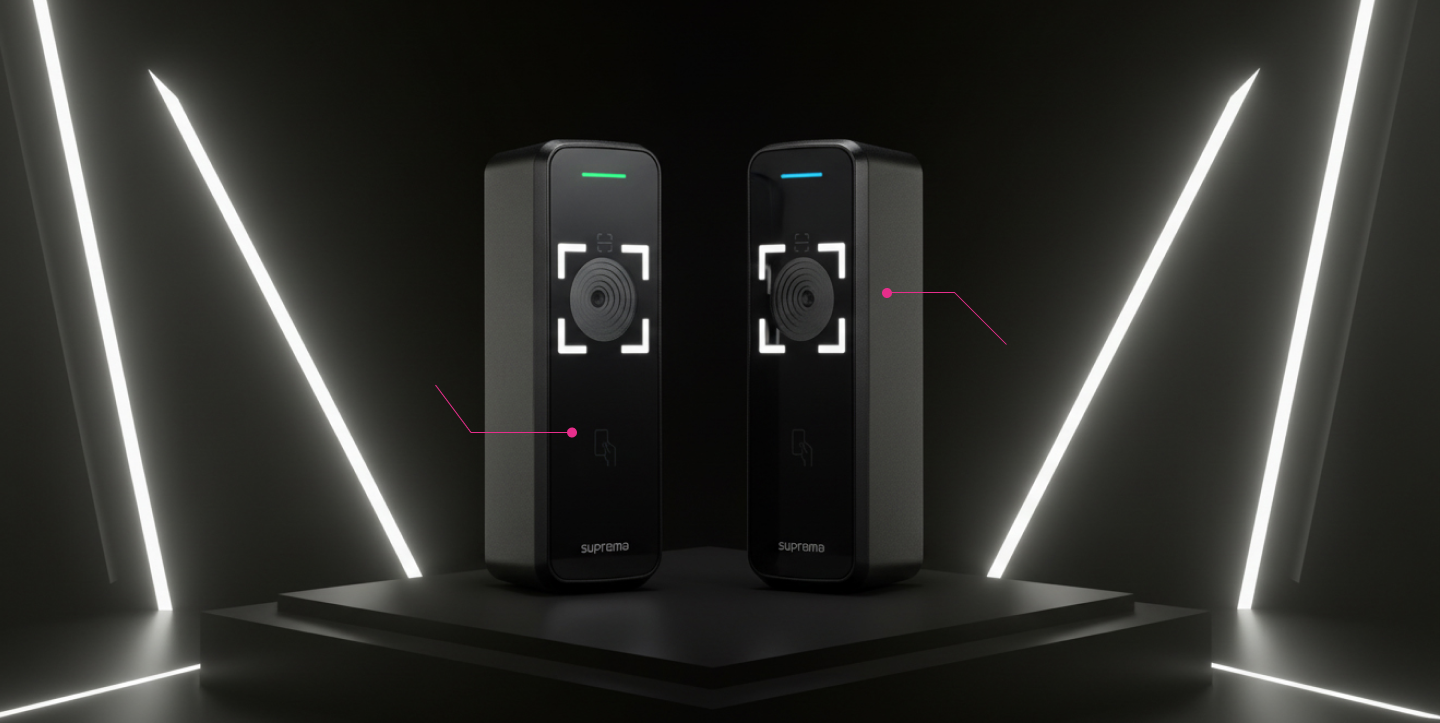 LED 백라이트 스캔 영역